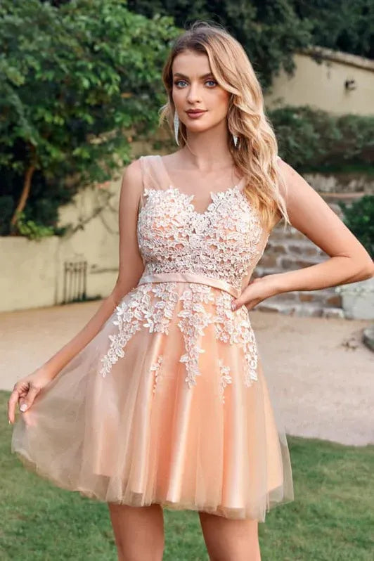 Chic A-Line V-Neck Lace Applique Blush Pink Short Homecoming Dress With Lace Up Back